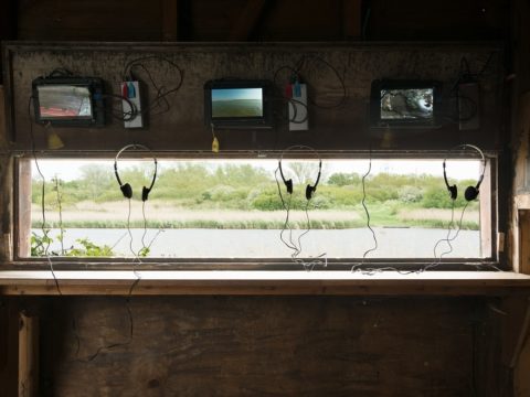 South Essex councils choose arts organisation to lead regional cultural work