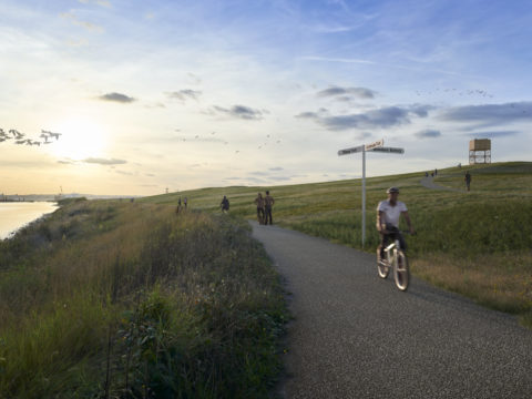 Setting out the LTC road to local benefits and key programme highlights